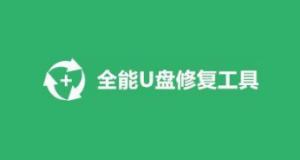 全能U盘修复工具：包括数据扫描、错误修复、数据恢复等功能-齐朵屋