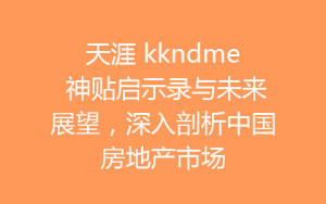 天涯 kkndme 神贴启示录与未来展望，深入剖析中国房地产市场-齐朵屋