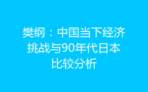 樊纲：中国当下经济挑战与90年代日本比较分析-齐朵屋
